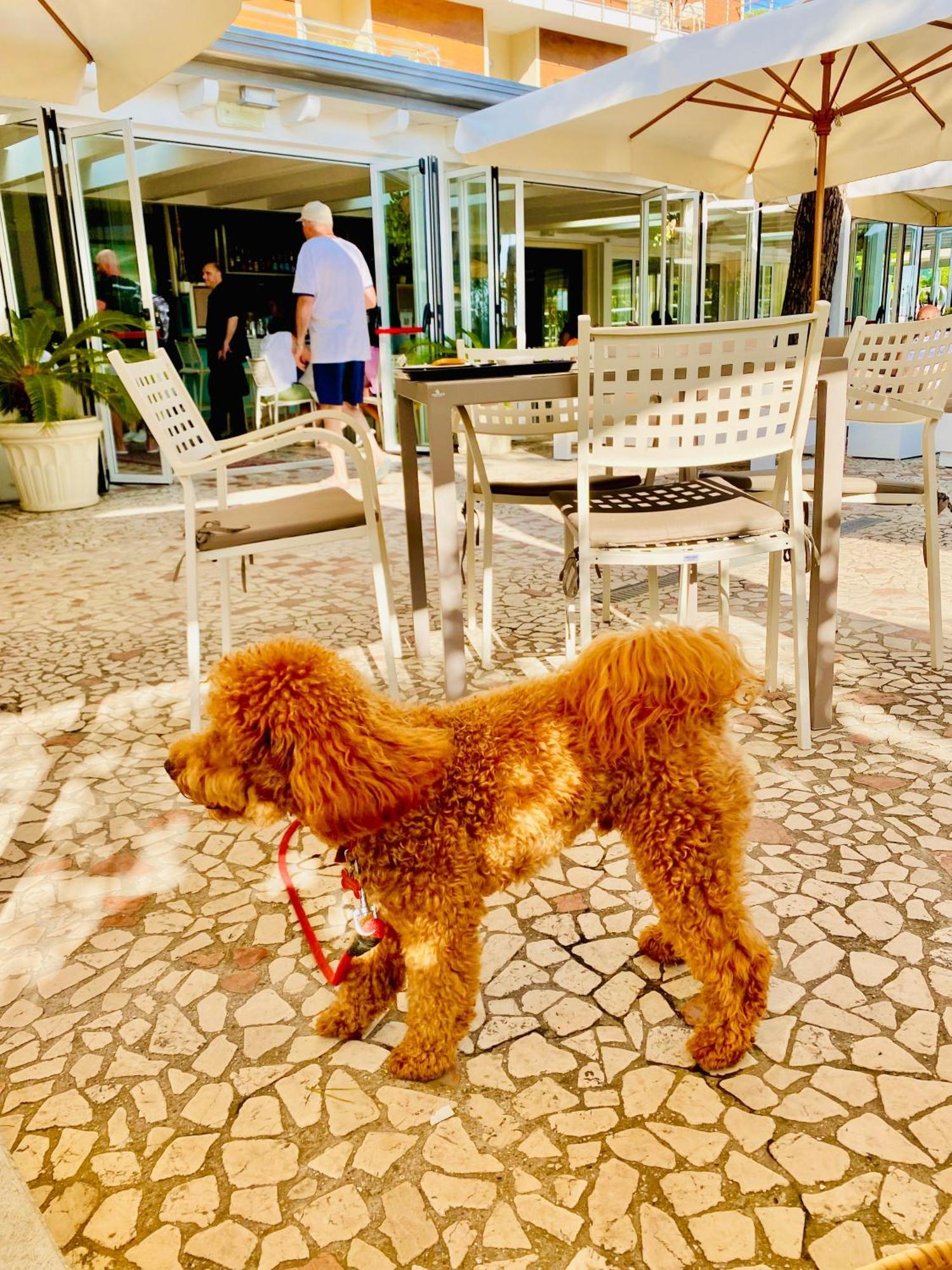 Hotel Franca Milano Marittima Exteriér fotografie